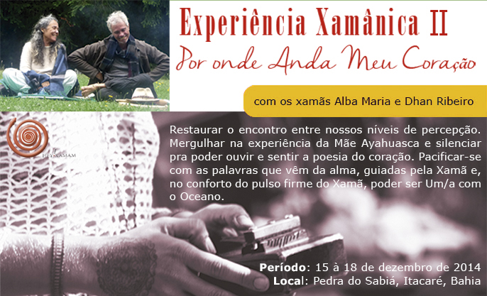 Experiência Xamânica II